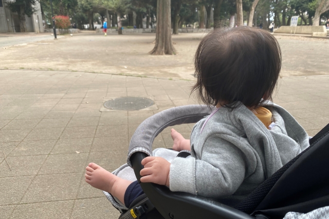 ベビーカーに乗って景色を見ている赤ちゃん