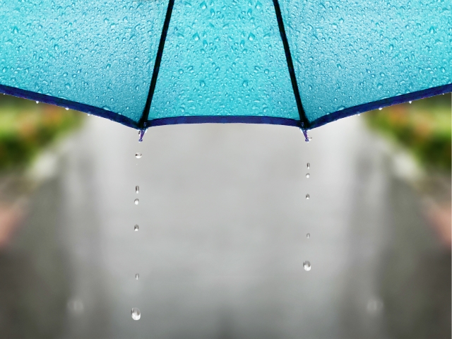 傘と雨のしずく