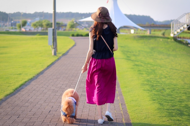 夏にロングスカートを履き犬の散歩をする女性