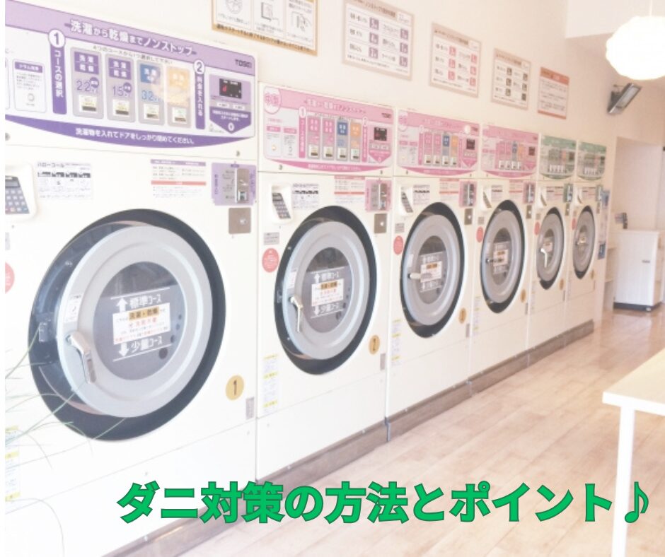 6台のコインランドリー