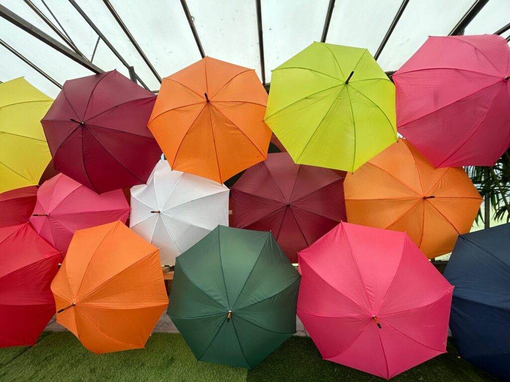 開いたまま並んだたくさんの傘