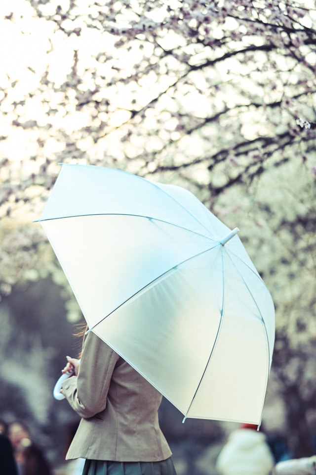 傘をさしている人